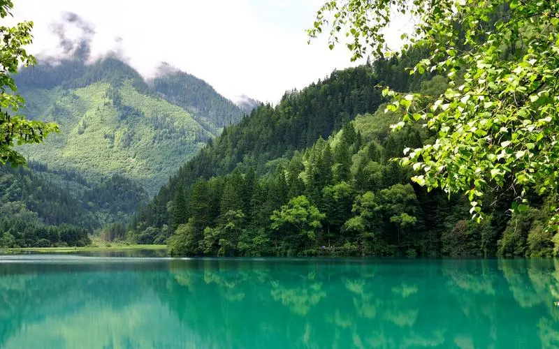 高效高精度
